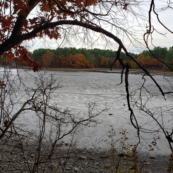 🍂Fall at the feet of Beauty - Picture 12 of 12